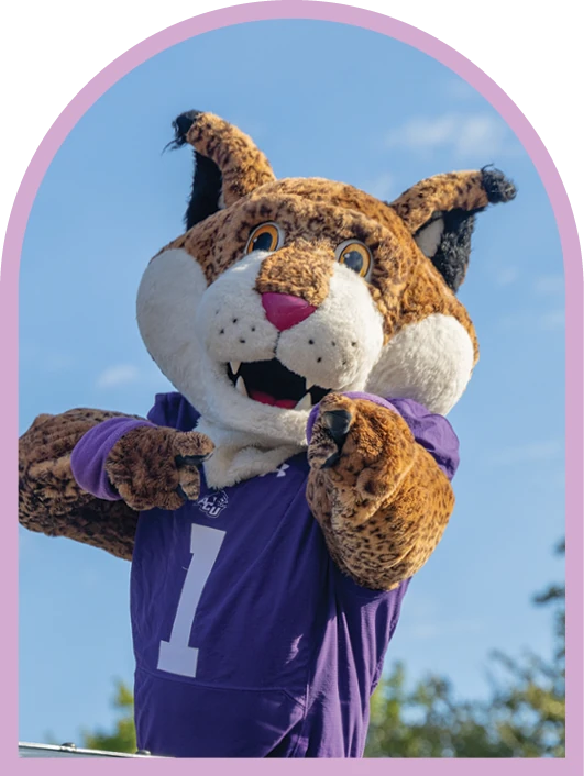 Willie the Wildcat mascot outdoors in an ACU uniform.